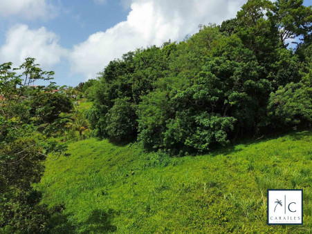 Achat terrain Sainte-Luce Réf. CAR182