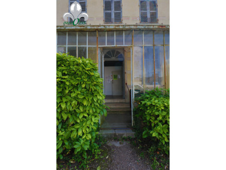 Vente immeuble 319 000 &euro;  Seurre