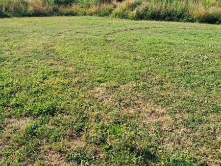 Terrain sur Plouguerneau ; 160 500 € ; Vente Réf. 2531