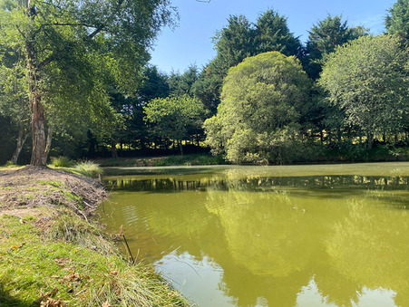 Vente terrain 28 000 € Larchamp