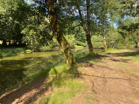 A vendre terrain Larchamp 53220; 28 000 €