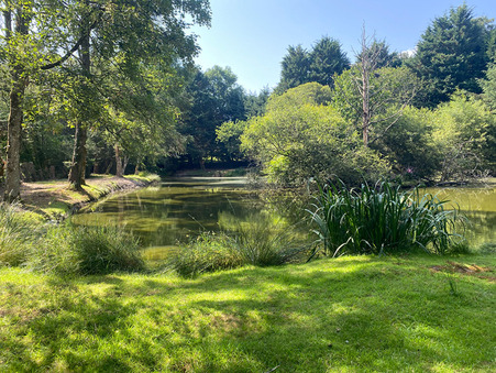 Terrain 28 000 € Réf. M711471 Larchamp