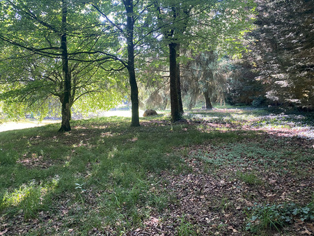 Terrain 28 000 € sur Larchamp (53220) - Réf. M711471