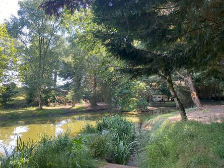 Terrain sur Larchamp ; 28 000 € ; Vente Réf. M711471