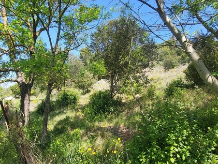 A vendre maison Saint Hilaire 11250; 184 000 &euro; 