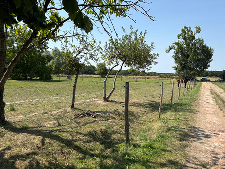 A vendre maison Saint Just sur Dive 49260; 158 000 €