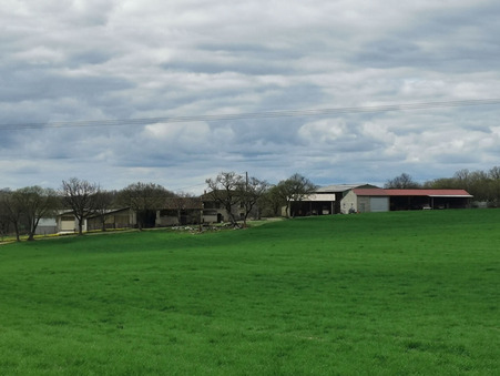 Maison sur Saint Antonin Noble Val ; 299 000 €  ; Vente Réf. 13900