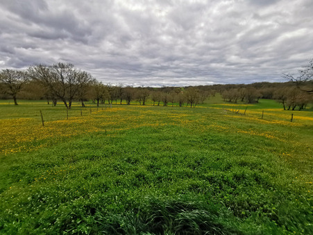 Maison sur Saint Antonin Noble Val ; 299 000 €  ; Vente Réf. 13900