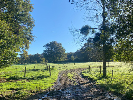 A vendre maison Chailland 53420; prix nous consulter