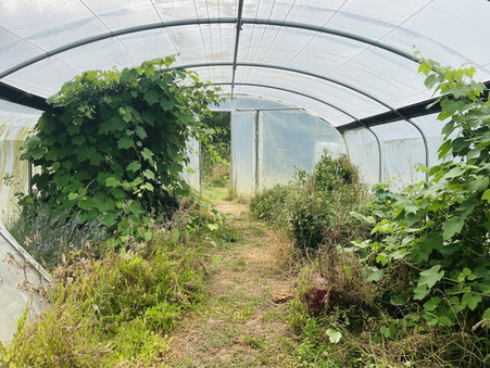 Maison sur Saint Gilles ; 436 500 € ; Achat Réf. 11767