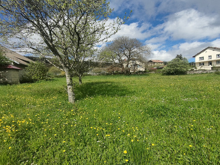 Terrain 55 000 €  sur Ruffieu (01260) - Réf. 38_LYAFAVT