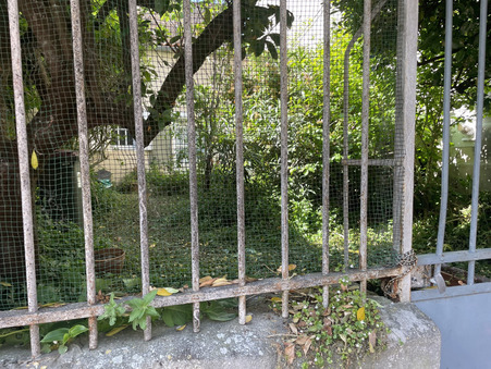 Achat maison Cognac Réf. 41_5760