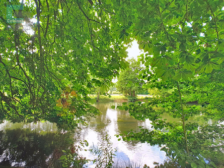 Achat terrain Bourron-Marlotte Réf. 3074