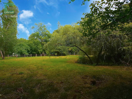 Terrain 38 500 €  Réf. 3074 Bourron-Marlotte