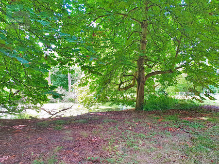 A vendre terrain Bourron-Marlotte 77780; 38 500 € 