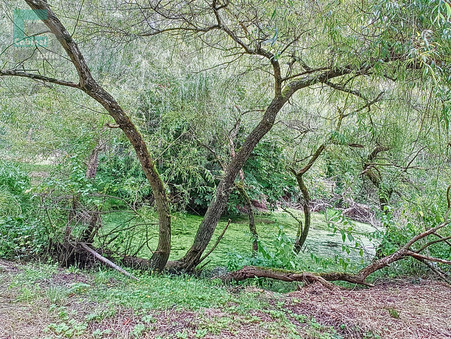 Terrain 38 500 €  sur Bourron-Marlotte (77780) - Réf. 3074