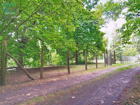 A vendre terrain Bourron-Marlotte 77780; 38 500 € 