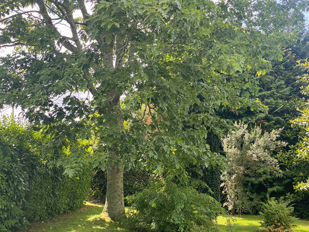 Vente maison 349 800 € Brest