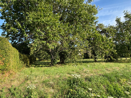 Terrain 52 900 € sur Gennes Val de Loire (49350) - Réf. 443