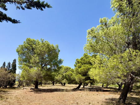 Maison 680 000 € Réf. M2215 La Palme