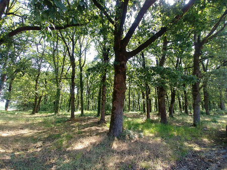 Maison 260 000 &euro;  sur Lapenche (82240) - Réf. 13943