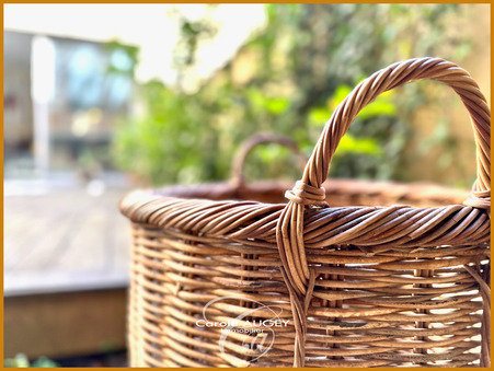 Maison 800 000 € Réf. 58_NANSOUTY_MV5012 Bordeaux