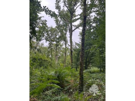 Terrain sur Dun sur Auron ; 96 300 € ; A vendre Réf. 1508