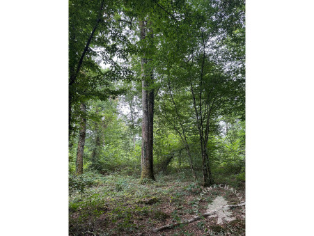 Terrain 96 300 € Réf. 1508 Dun sur Auron