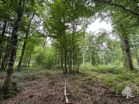 Terrain 96 300 € Réf. 1508 Dun sur Auron