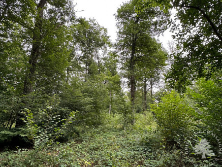 Terrain sur Dun sur Auron ; 96 300 € ; Achat Réf. 1508