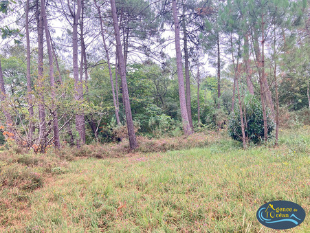 Terrain sur Ferel ; 40 000 € ; A vendre Réf. TL4521-13