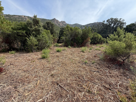 Achat terrain Galeria Réf. 1007