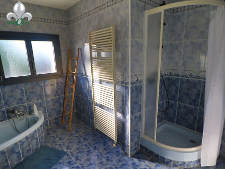 A vendre maison Seurre 21250; 249 000 € 