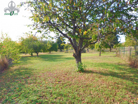 A vendre maison Seurre 21250; 249 000 € 