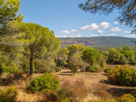 Vente maison 499 000 €  La Motte