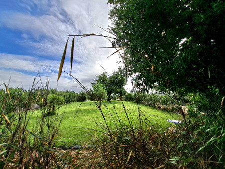 Maison 336 000 € sur L'Isle en Dodon (31230) - Réf. 4548-vs