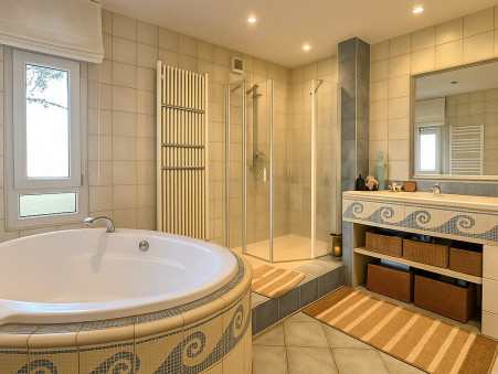 A vendre maison Selestat 67600; 510 000 €