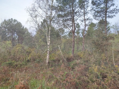 Terrain sur Pleine Selve ; 55 000 €  ; Achat Réf. 1069ROS-HABITATCONSEILG_1069