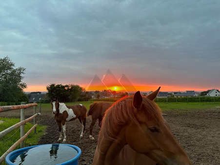 Achat maison Treflez Réf. 26351AK