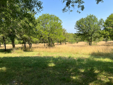 Maison 370 000 €  Réf. 13960 Saint Antonin Noble Val