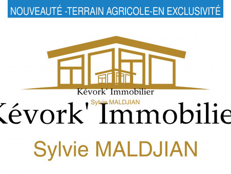 Premier slide