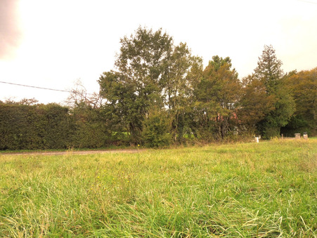 Achat terrain Clarafond-Arcine Réf. 6_5683