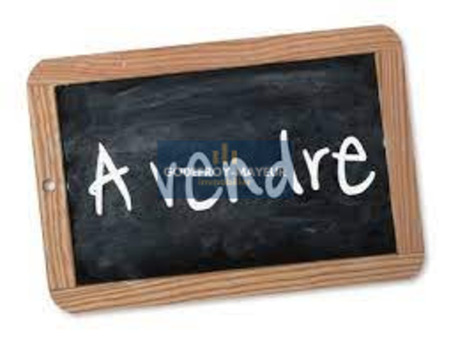 Local commercial 176 000 € Réf. R+3_LCL Pointe-à-Pitre