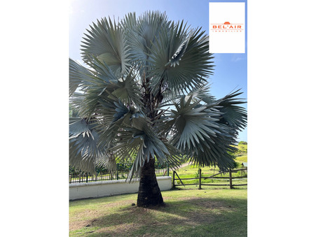 A louer maison 2 250 €  