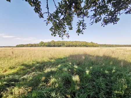 Maison 229 950 € sur Dampierre sous Brou (28160) - Réf. 866