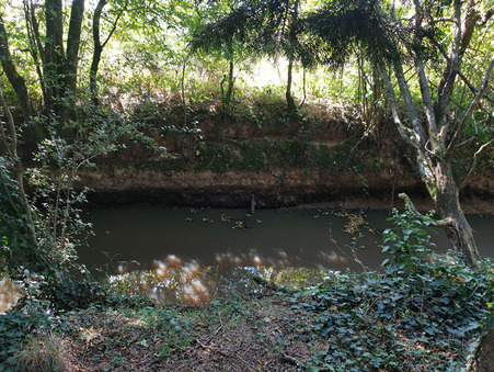Achat maison Dampierre sous Brou Réf. 866