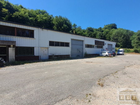 Entrepôt 260 000 &euro;  sur Saint-Michel-de-Saint-Geoirs (38590) - Réf. 1699