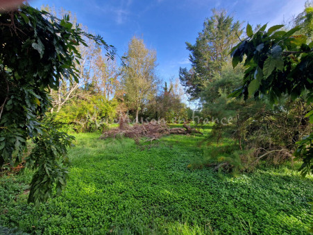 Propriété 315 000 € Réf. 1517 Saint-Pourçain-sur-Sioule