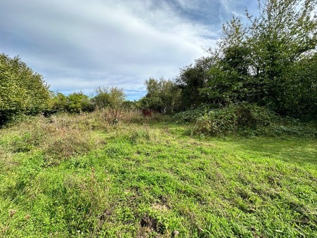 Terrain 60 000 €  Réf. 212582 Souppes sur Loing