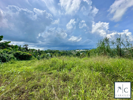 Terrain sur Ducos ; 138 000 €  ; Vente Réf. CAR206